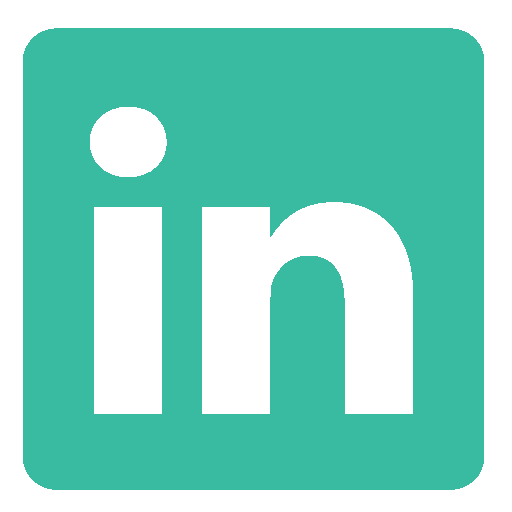 LinkedIn Logo Icon