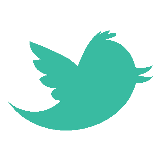 Twitter Logo Icon